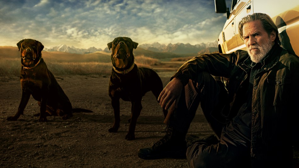 64935c8c-bf7d-4475-901c-10041f4d838f